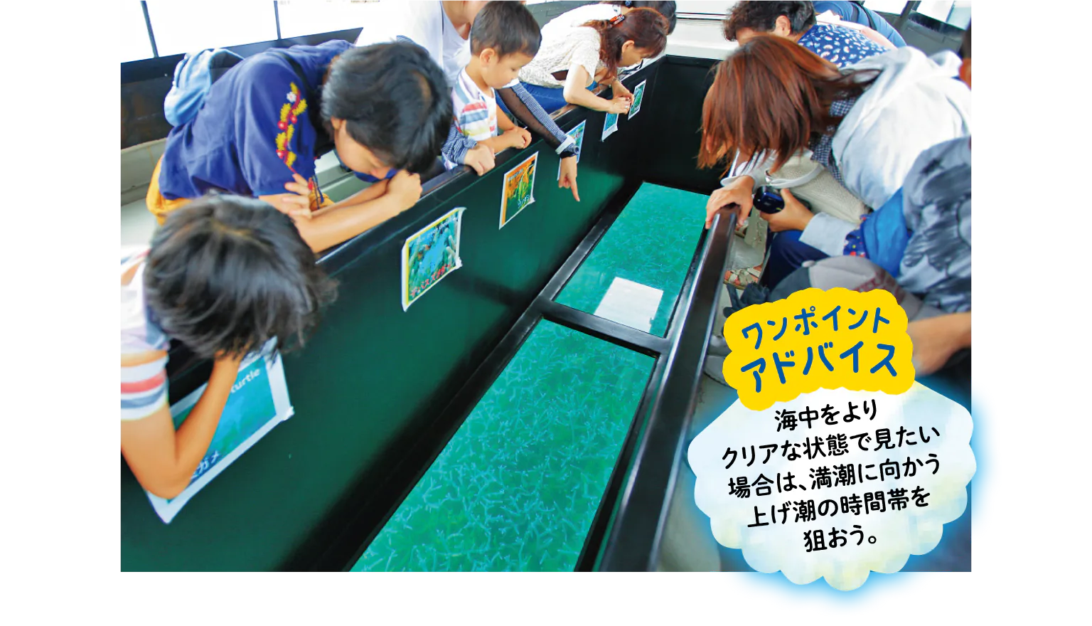 船底をのぞくと南国の海ならではの絶景が広がる！