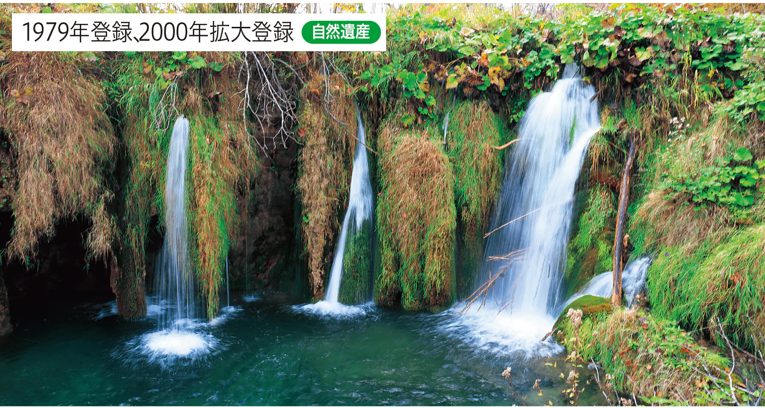 プリトヴィッチェ湖群国立公園の画像