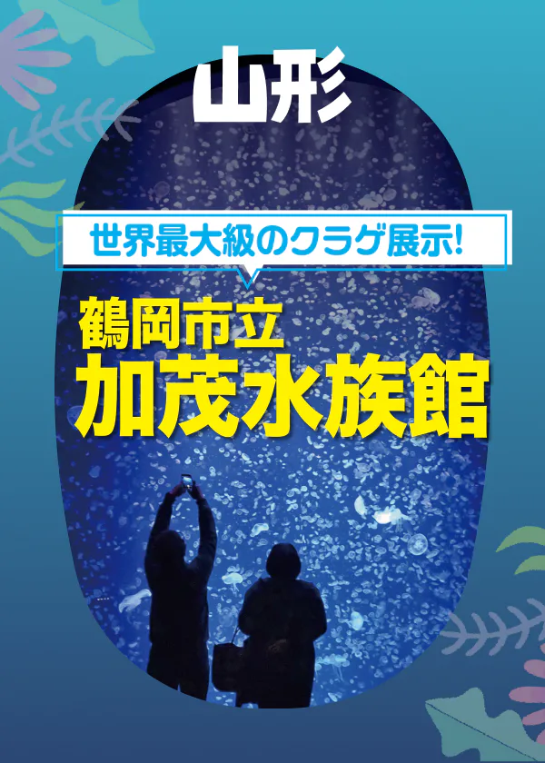 世界最大級のクラゲ展示！ 鶴岡市立 加茂水族館