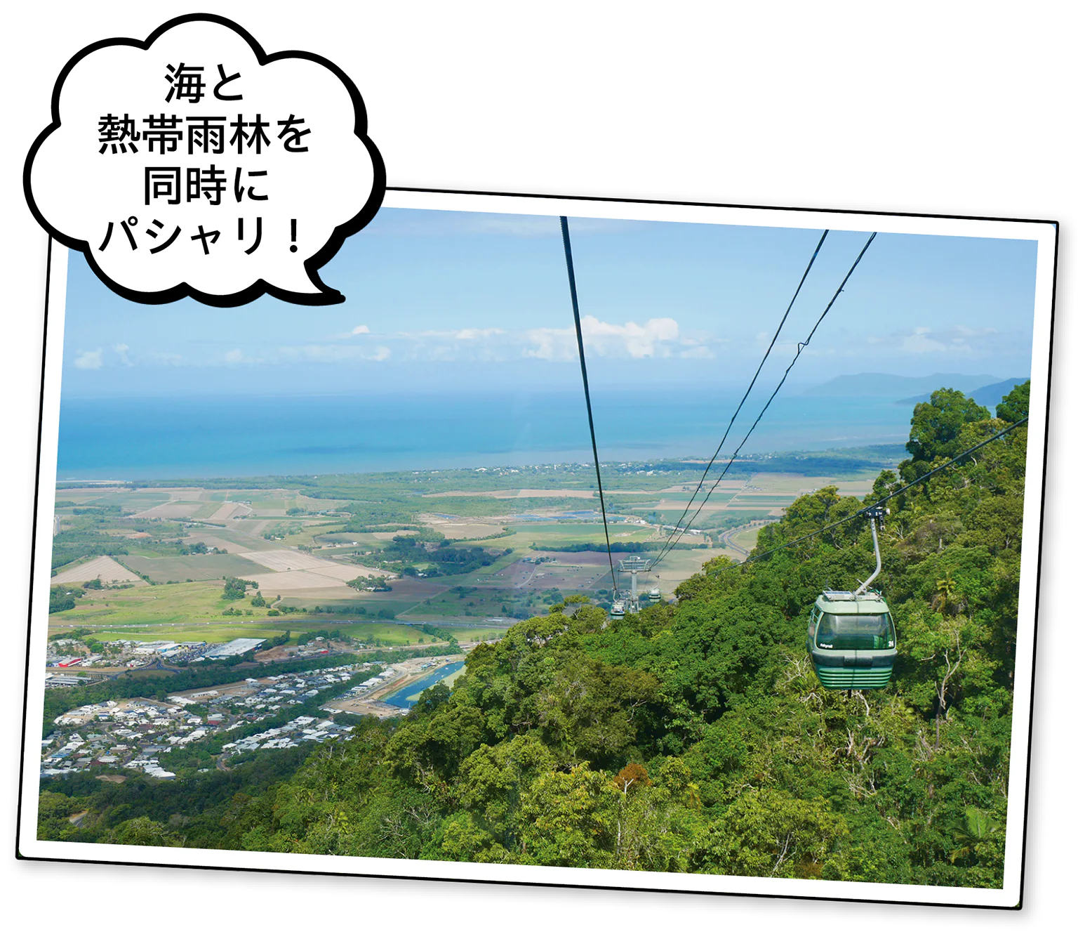 海と熱帯雨林の画像