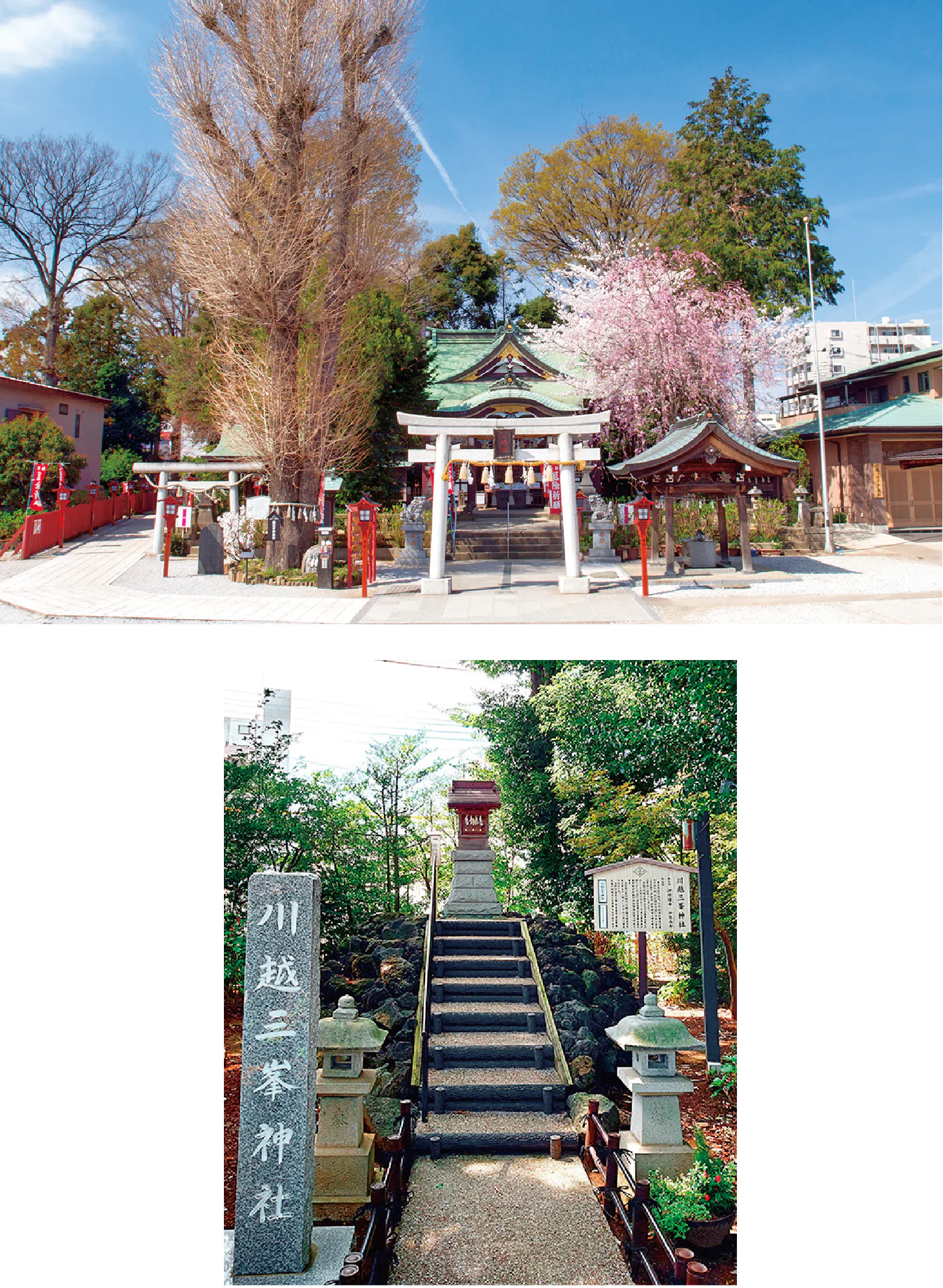 （写真上）拝殿横には、川越市桜の名所に指定されている枝垂れ桜の木が立つ／（写真下）秩父三峯神社から御霊を分けられた市内唯一の神社。社号石は、秩父三峯神社宮司よる揮毫