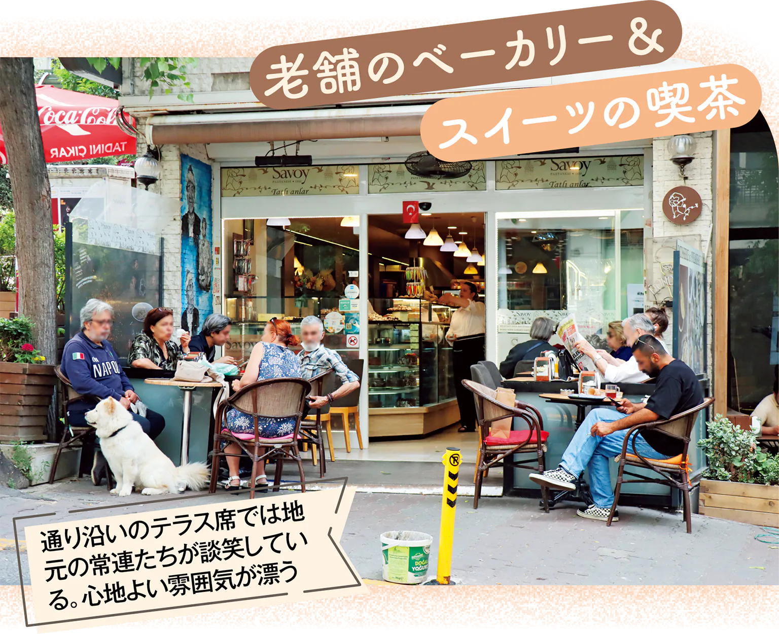 サヴォイ・パスターネシの画像