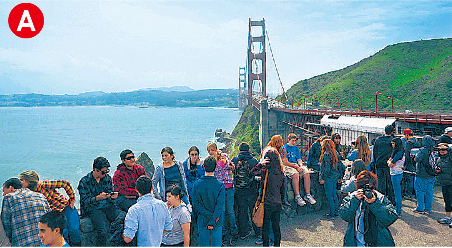 ヴィスタ・ポイント