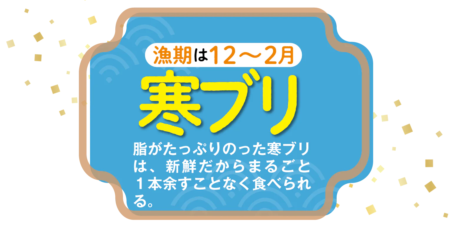 寒ブリ