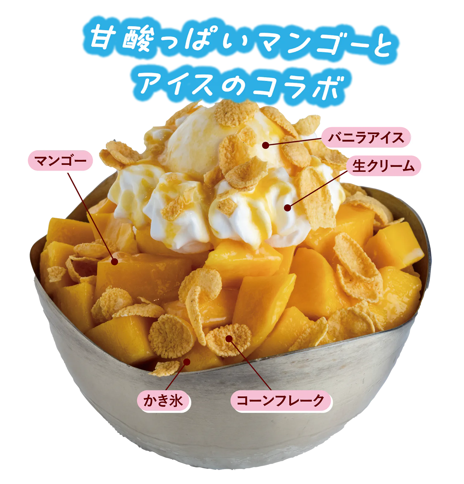 マンゴー・ピンスの画像