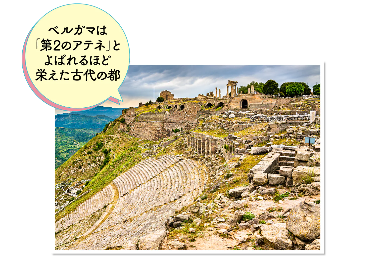 ベルガマの画像