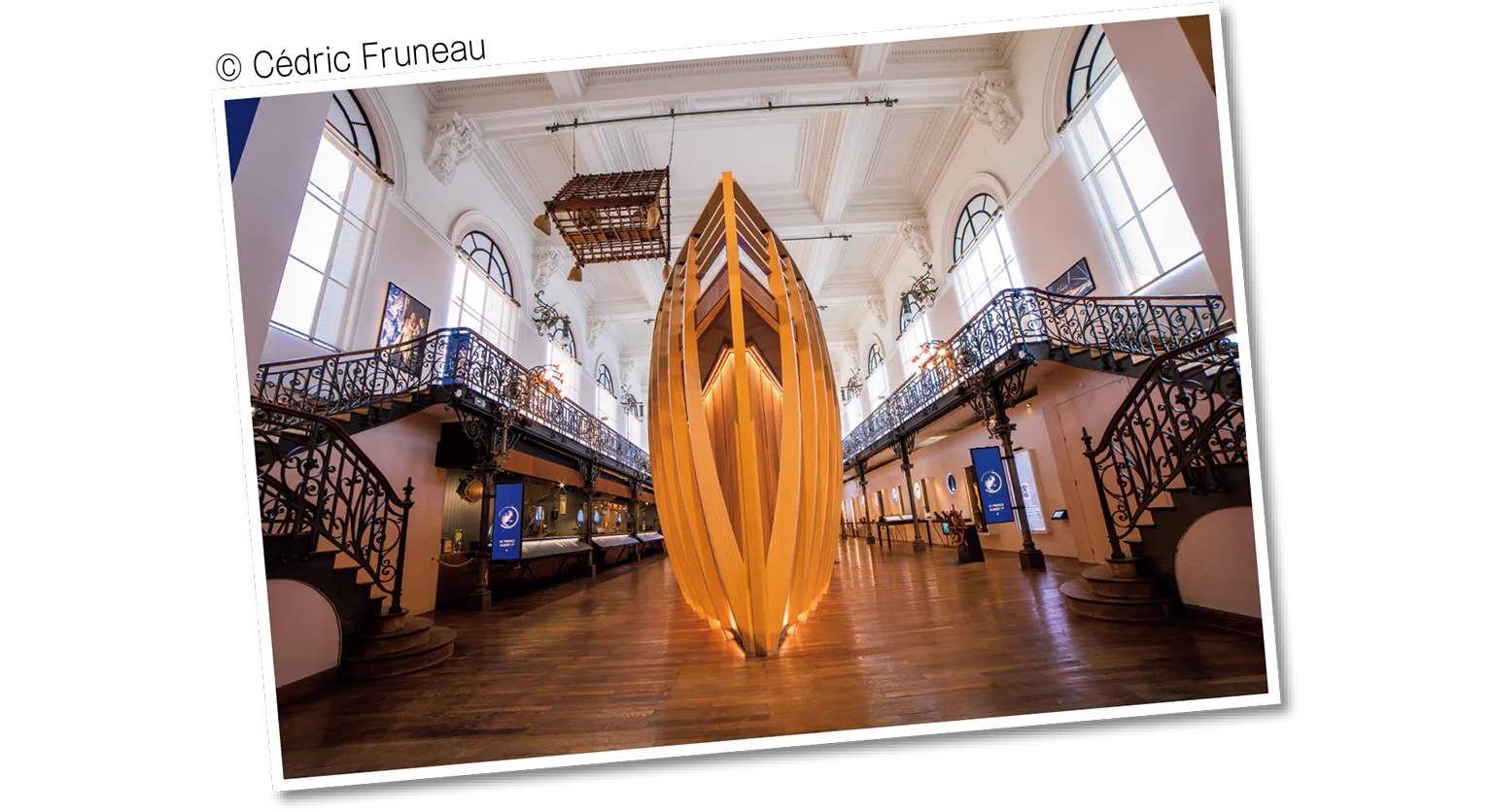 サメやウミガメ、熱帯魚が泳ぐ大型水槽の水族館を併設の画像