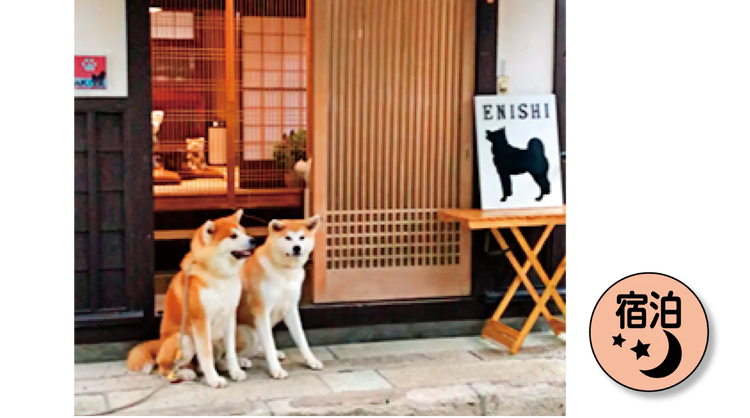 看板犬「すーちゃん」と「ふじこ」の画像