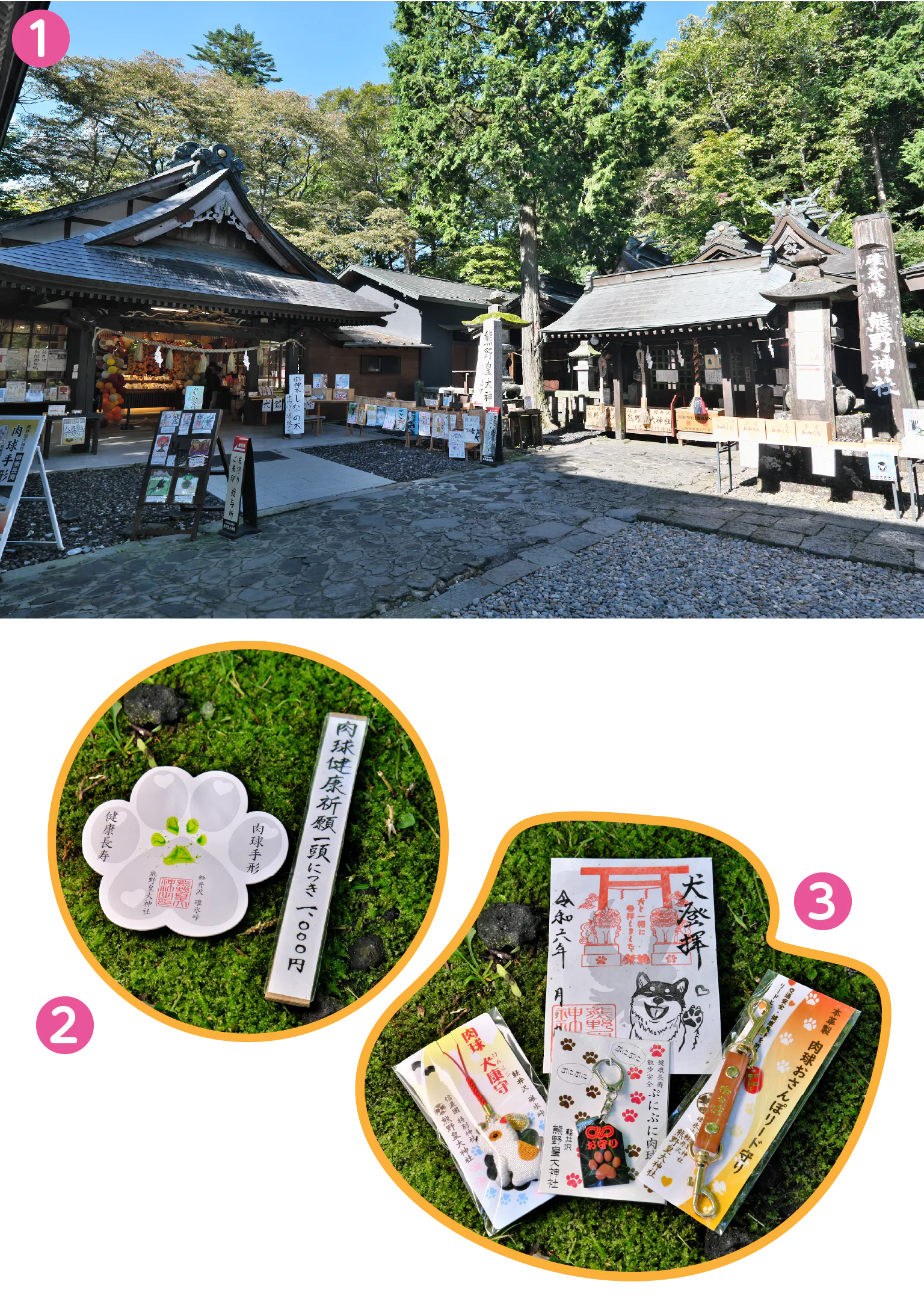 熊野皇大神社の紹介画像