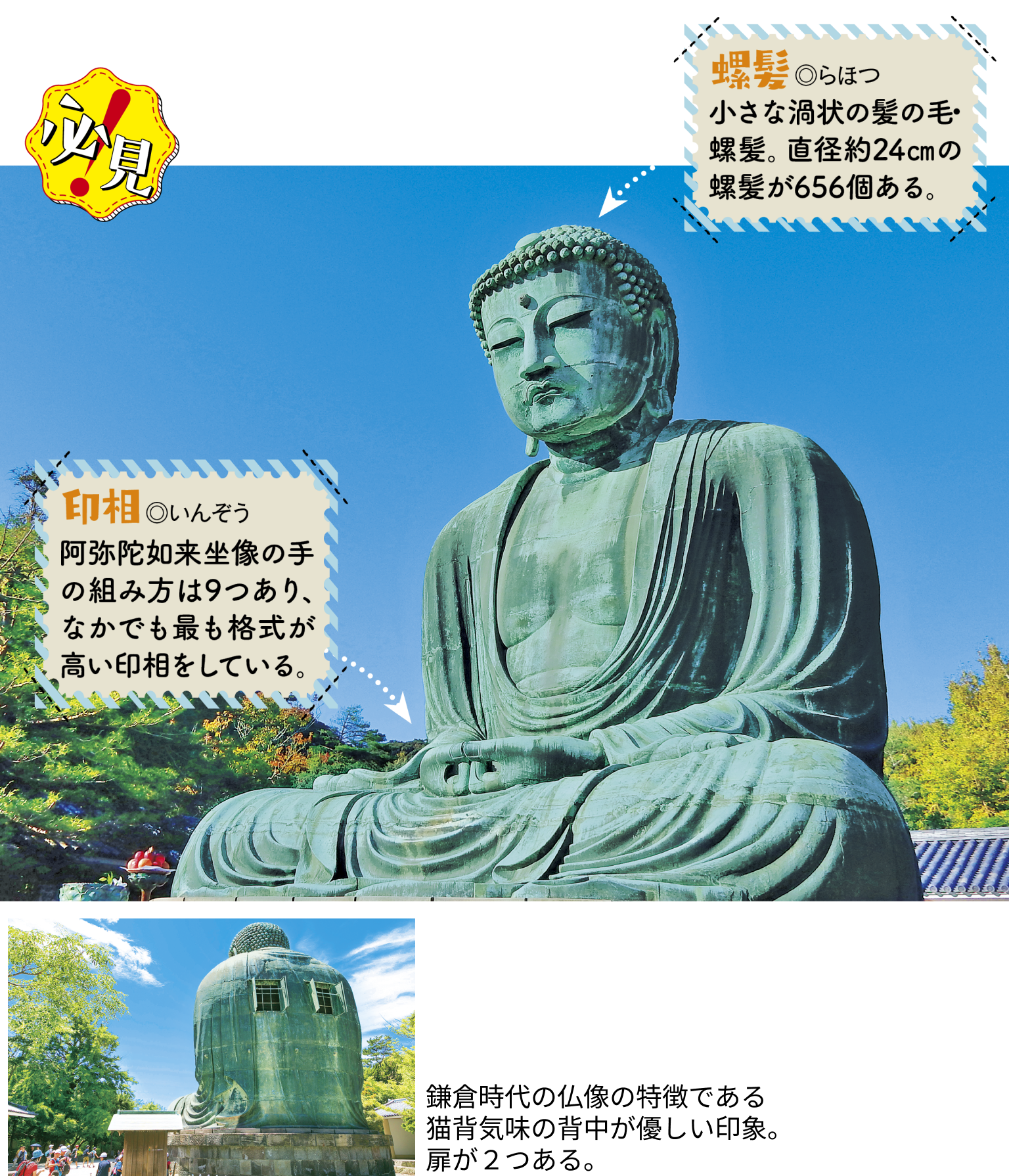 鎌倉】高徳院の見どころ・歴史・豆知識｜御朱印やお守り情報も | るるぶ+