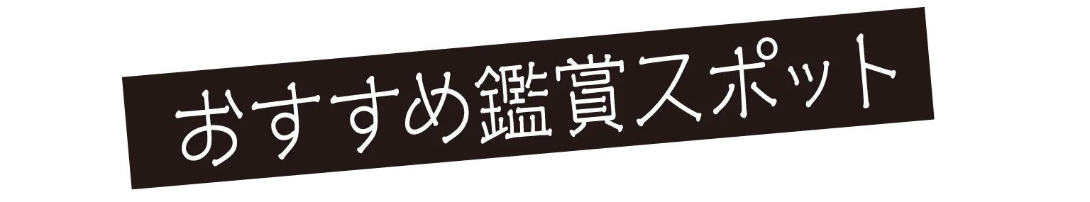 おすすめ鑑賞スポットの見出し