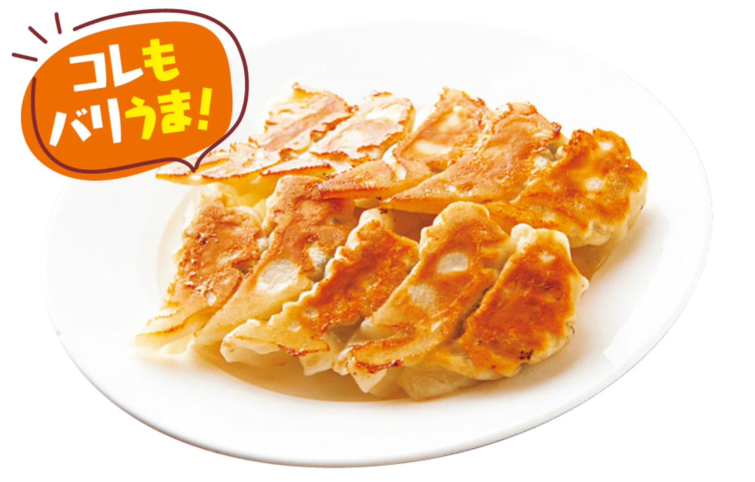 焼きギョーザの紹介画像