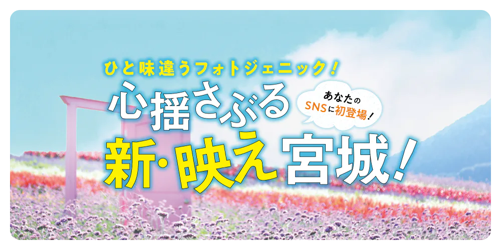 宮城のひと味違うフォトジェニックスポット