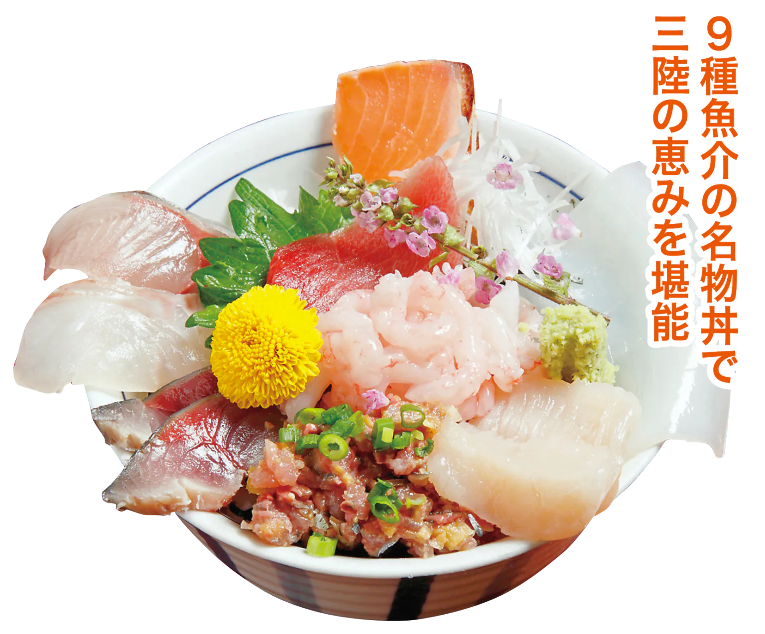 北川食堂の日替わり海鮮丼の画像