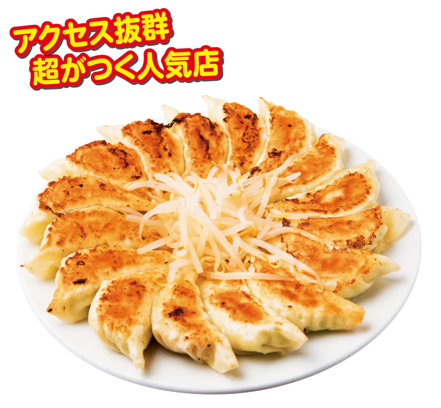 石松餃子 本店の餃子(大)の画像