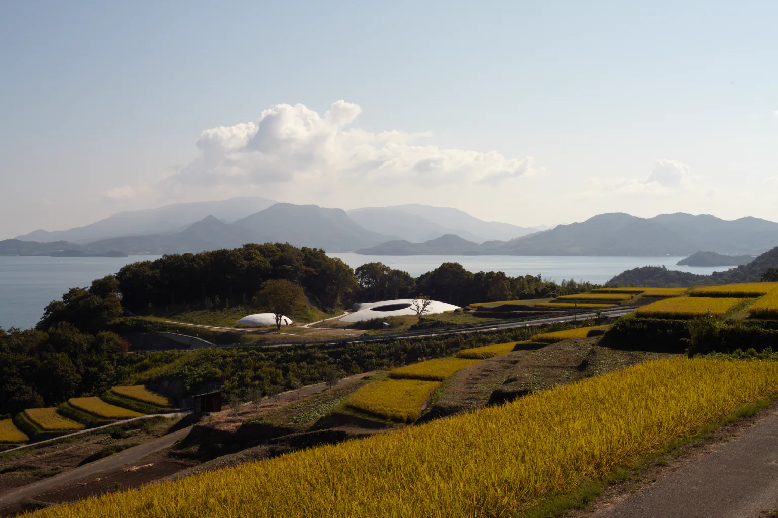 豊島美術館の画像
