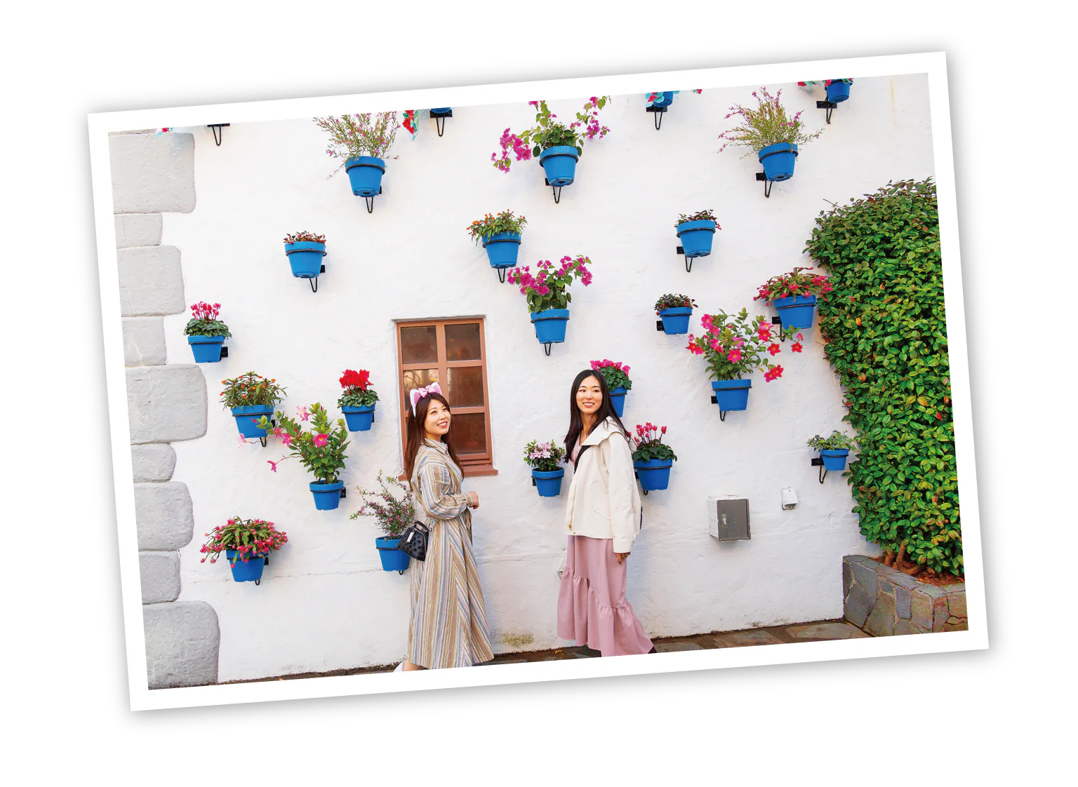季節の花が彩るサンタクルス通りの画像
