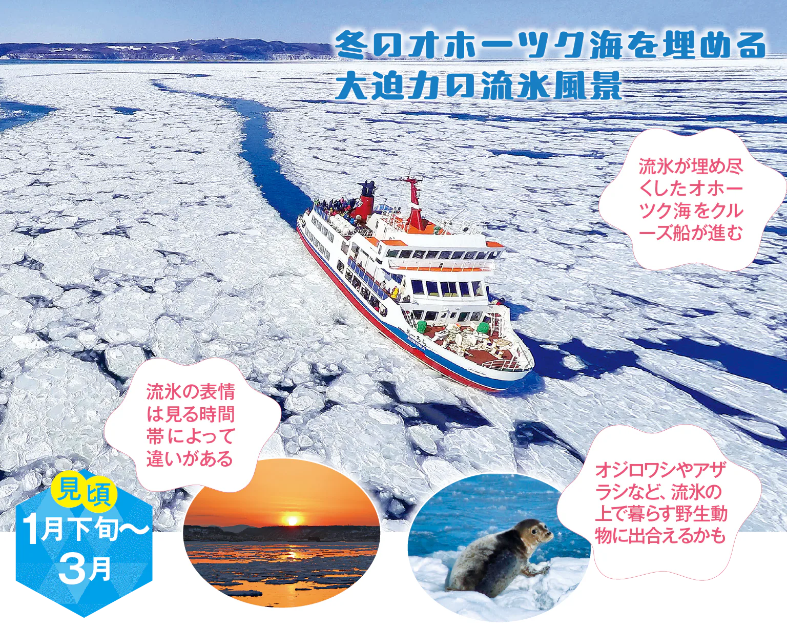 オホーツクの流氷