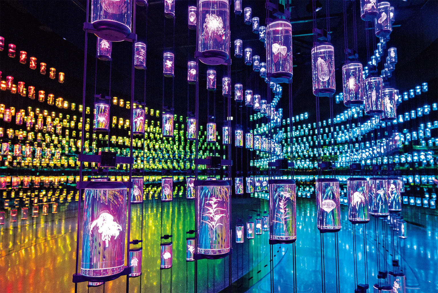 ライブラリーの画像