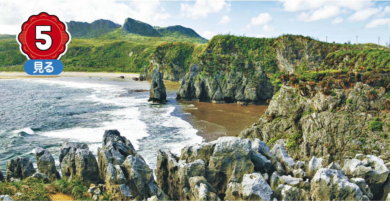 辺戸岬の絶景画像