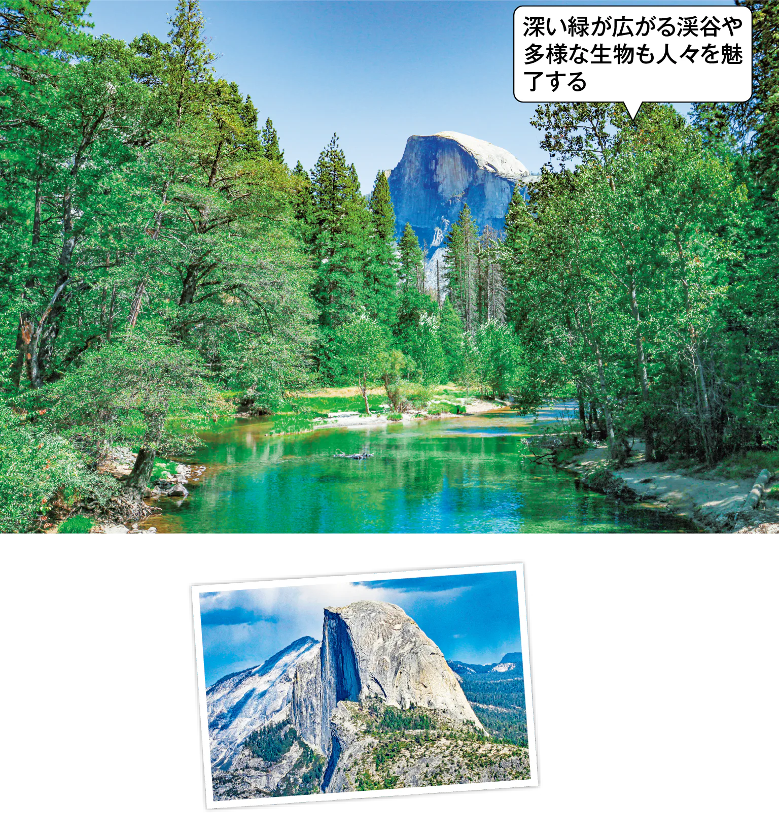 ビューポイントからは息をのむような絶景が見られる