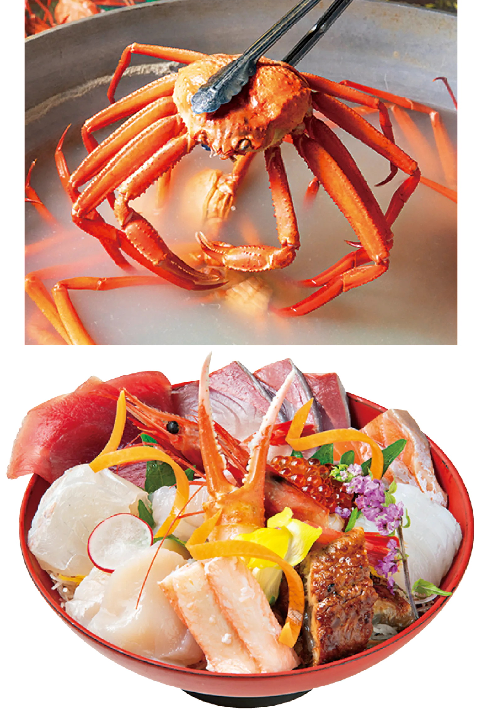 きっときと亭のカニをゆでる画像、海王丼の画像