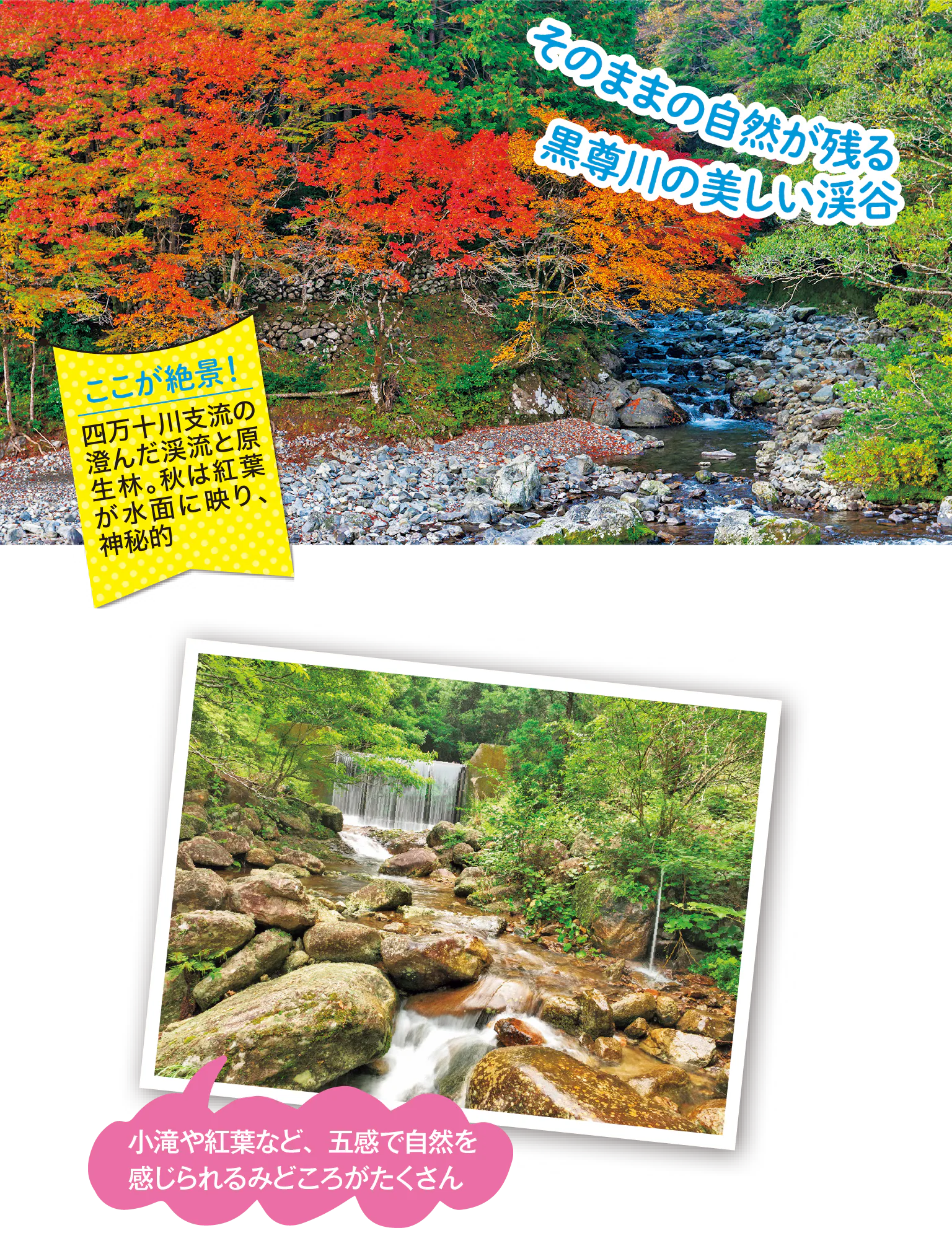 黒尊渓谷の紹介画像