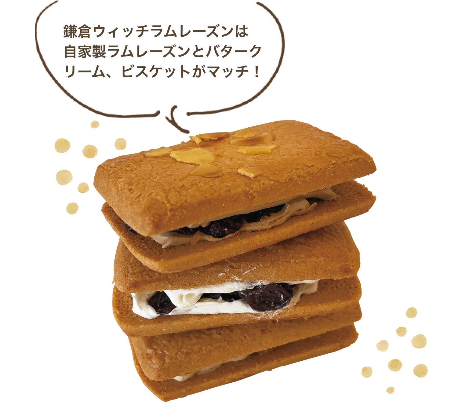 鎌倉ウィッチラムレーズンは自家製ラムレーズンとバタークリーム、ビスケットがマッチ！