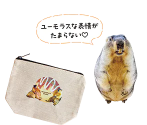 ユーモラスな表情がたまらないマーモット/大阪たこ焼きポーチの画像