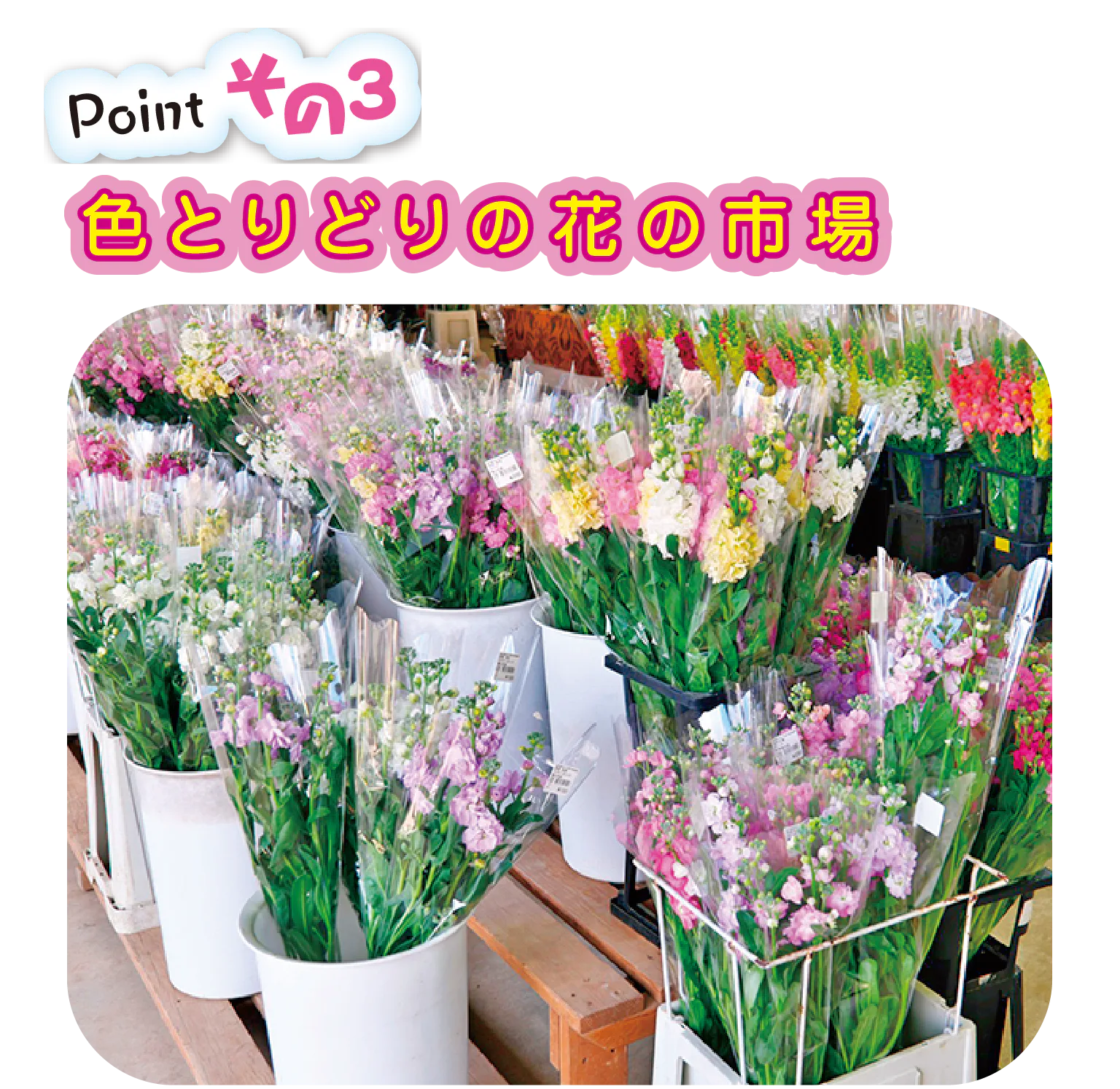 花売店には地元農家が丹精込めた花が並ぶ。宅配は送料込みで3000円~