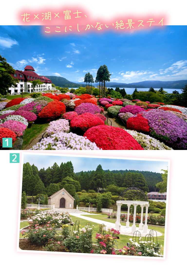 関東周辺四季の花巡り 関東周辺四季の花巡り (旅の森) / 昭文社