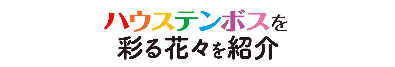 （見出し）ハウステンボスを彩る花々を紹介