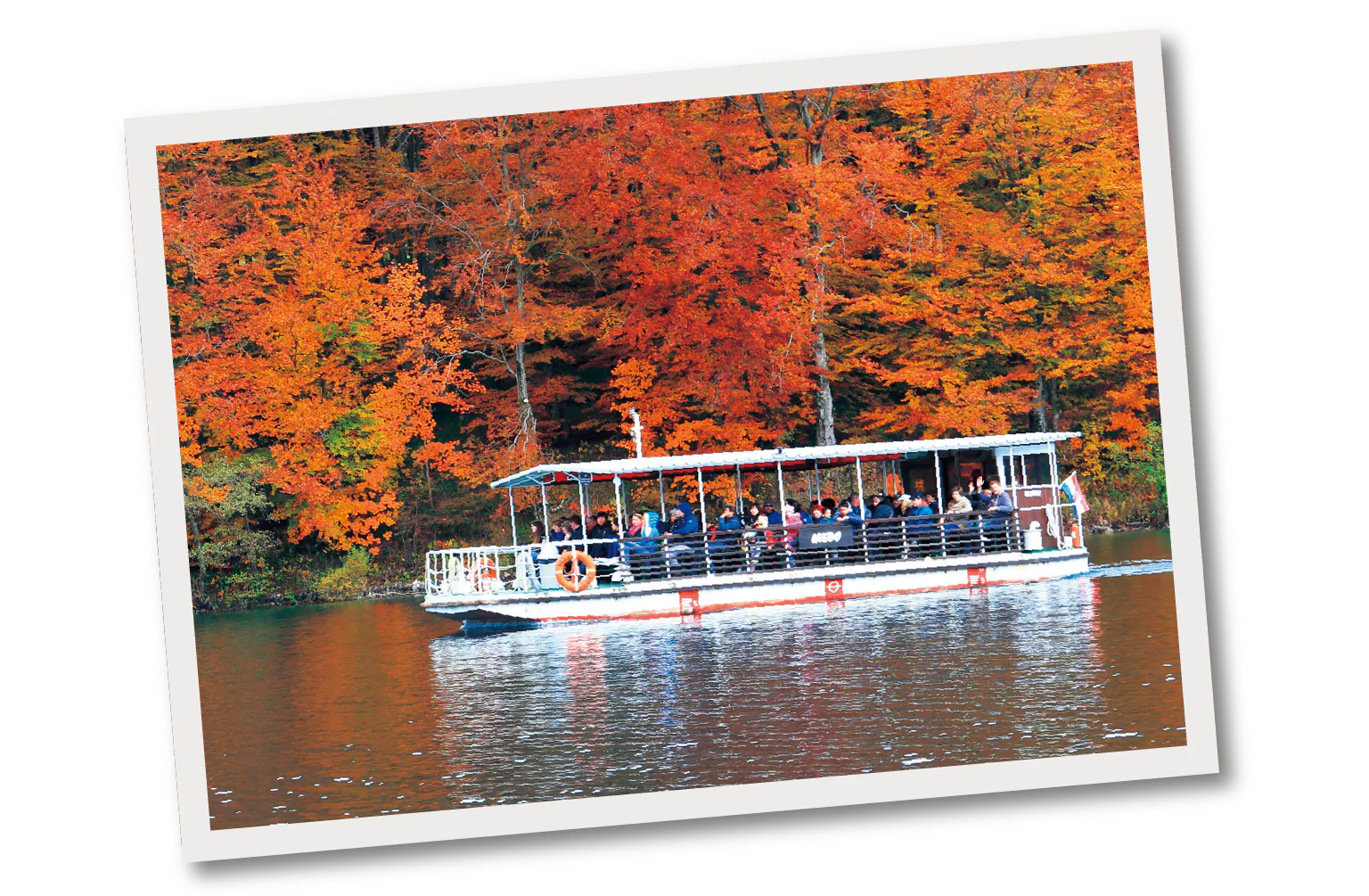 秋の紅葉シーズンの画像