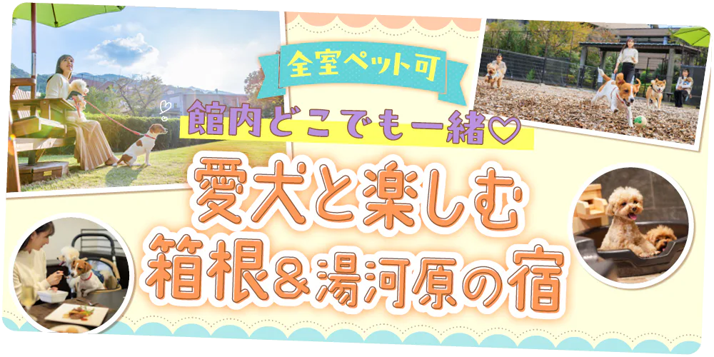【神奈川】箱根・湯河原｜ペットと泊まれる宿、全室ペット可、大型犬OKの宿も