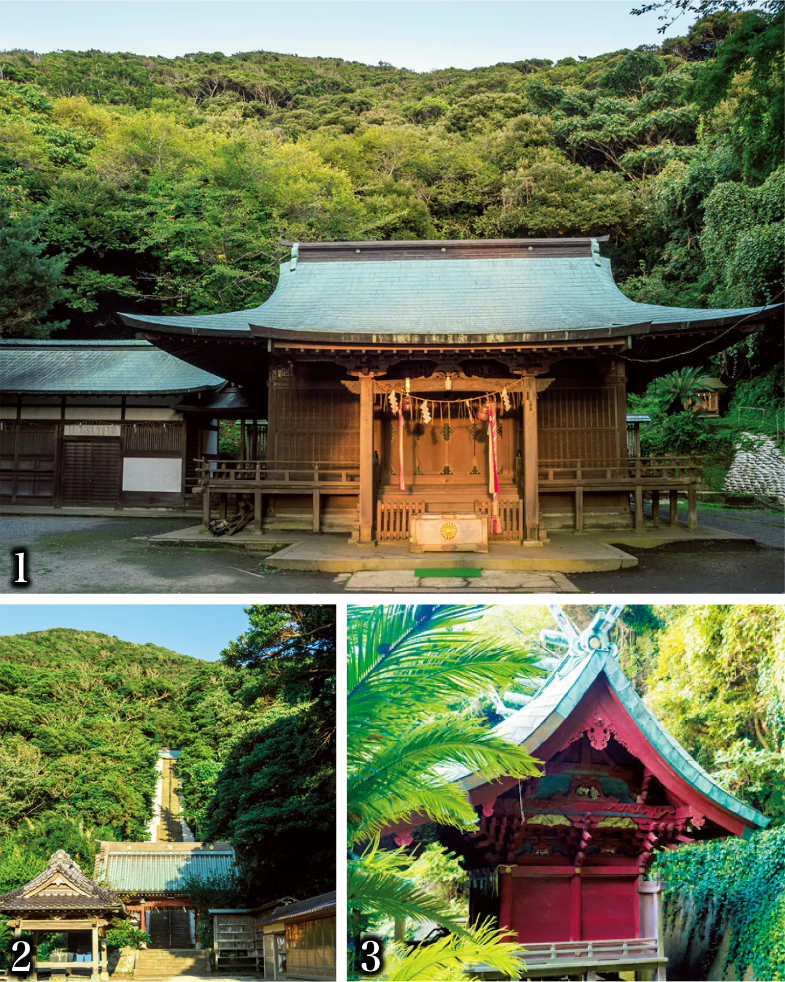洲崎神社の画像