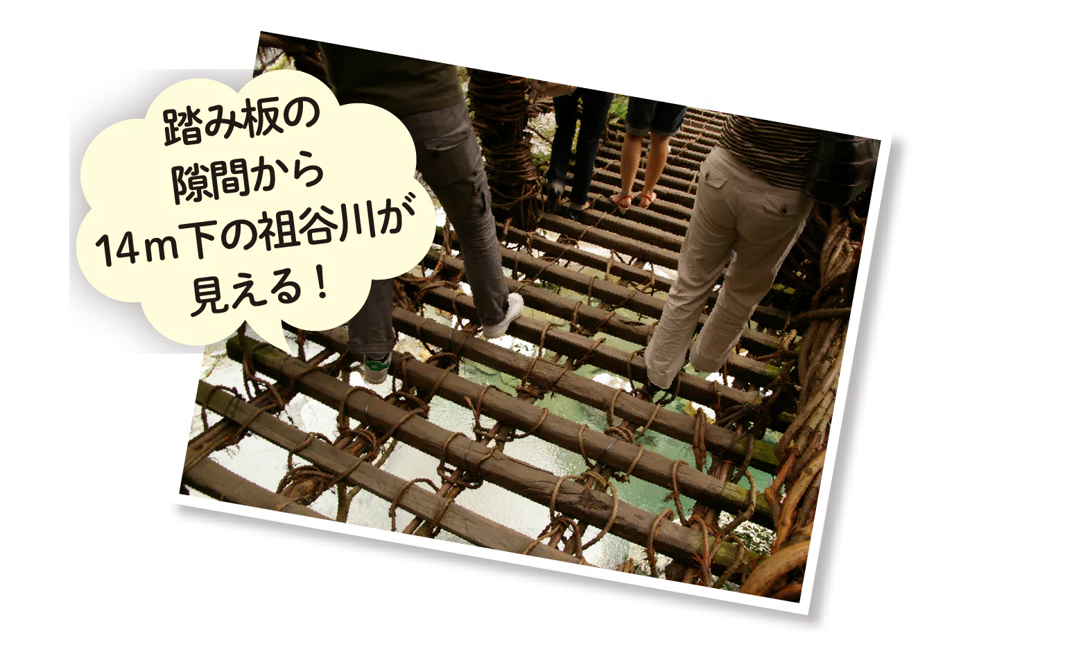祖谷のかずら橋の踏み板の画像