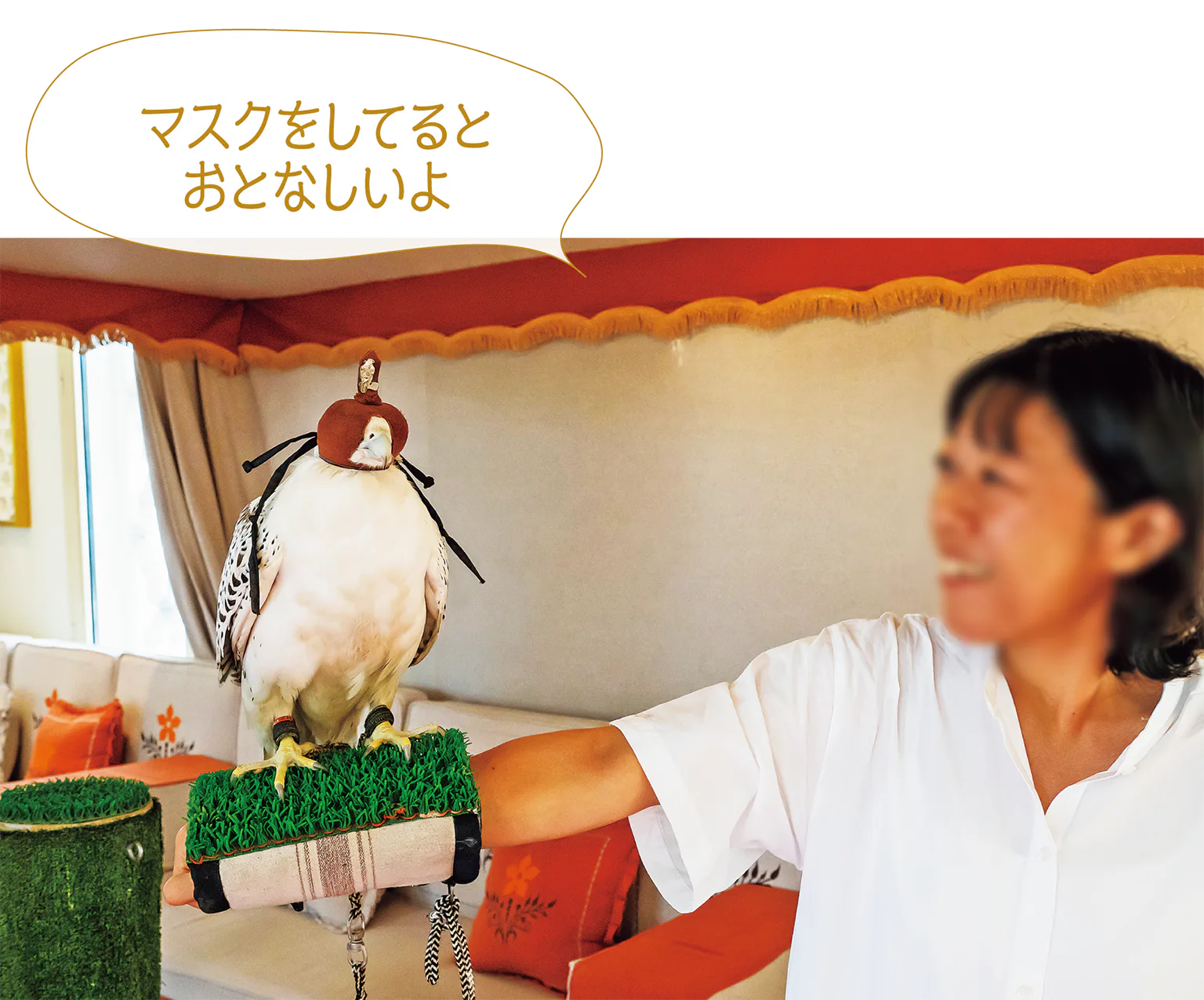 本物の鷹と記念撮影する画像