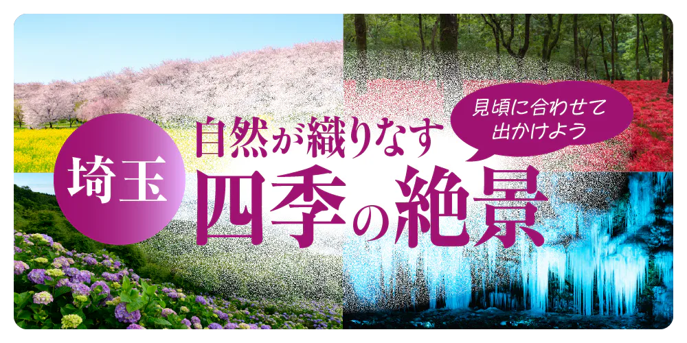 見ごろに合わせて出かけよう！自然が織りなす四季の絶景