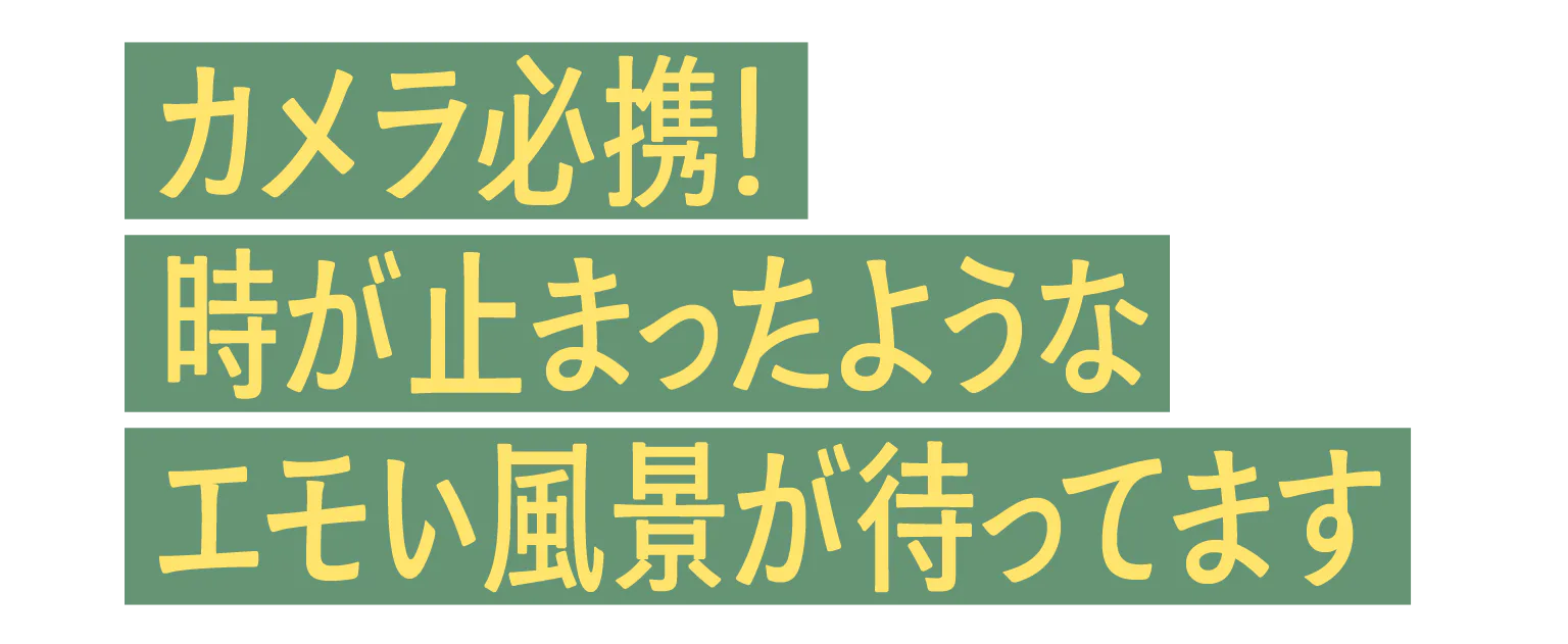 カメラ必携！+時が止まったようなエモい風景が待ってますの見出し