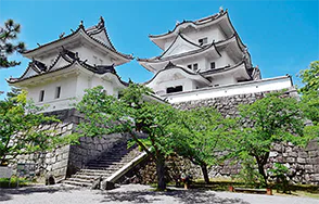 伊賀上野城の外観の画像