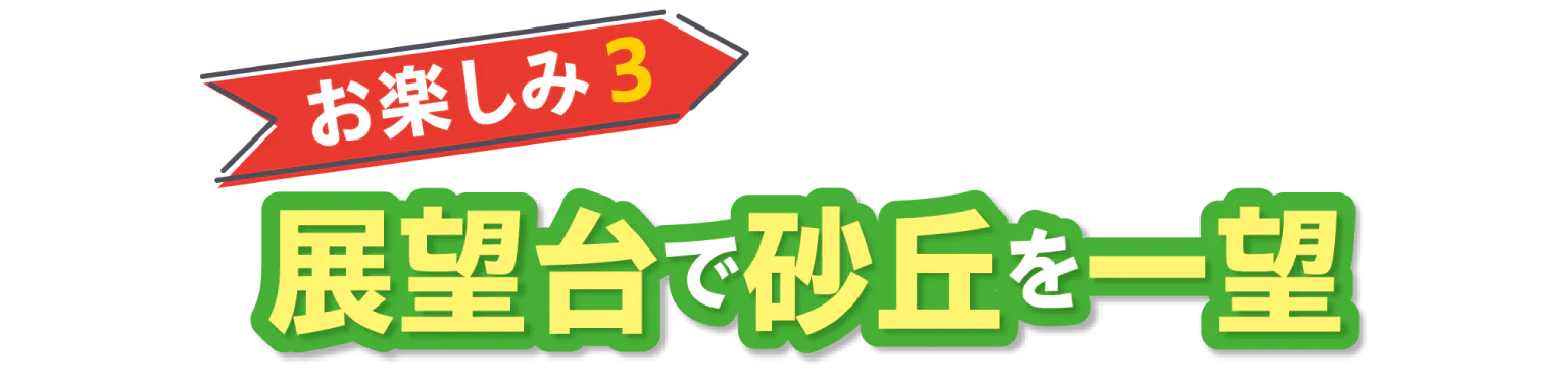 お楽しみ3展望台で砂丘を一望画像