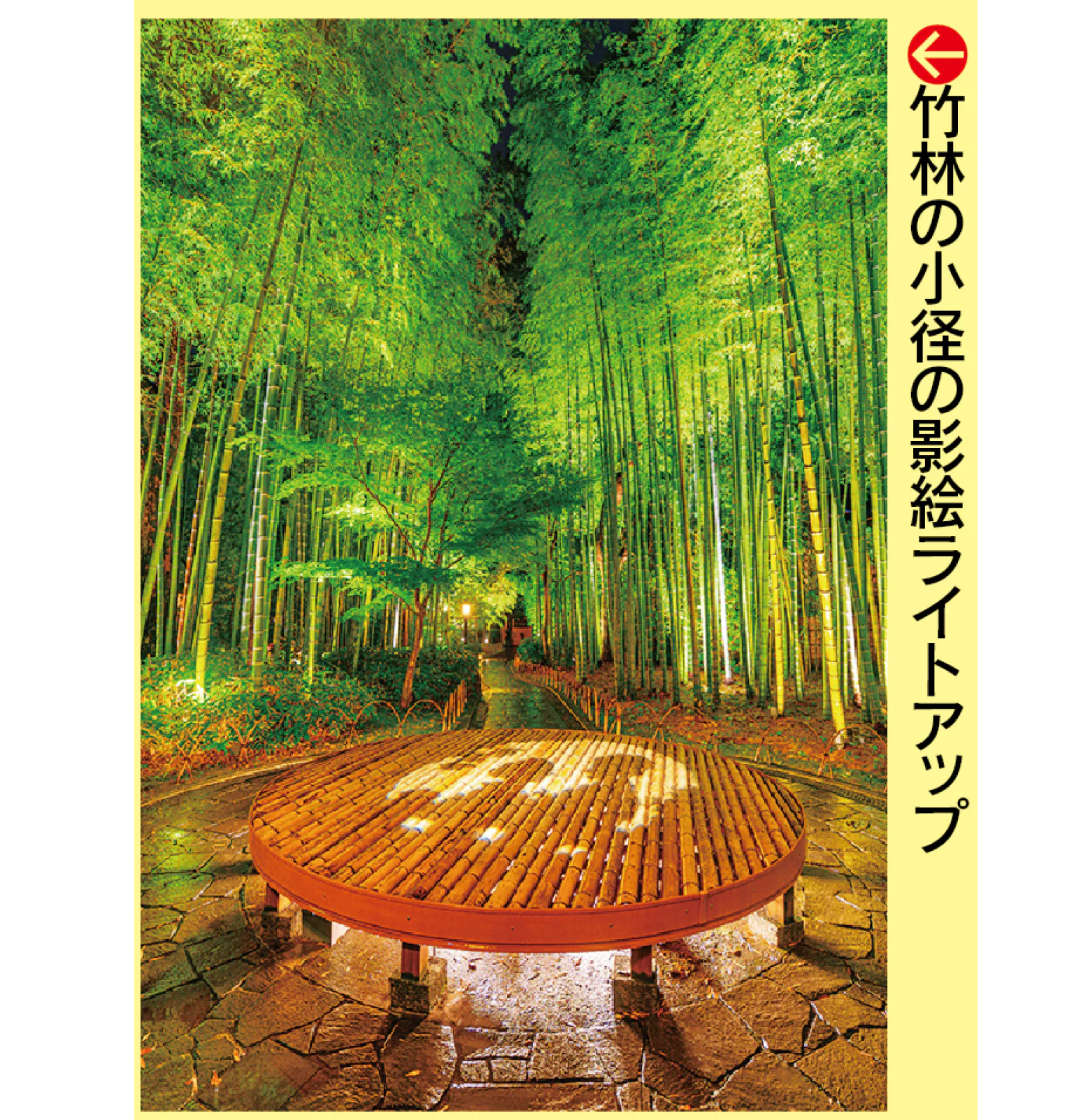 修善寺温泉街の竹林の小径の影絵ライトアップの画像