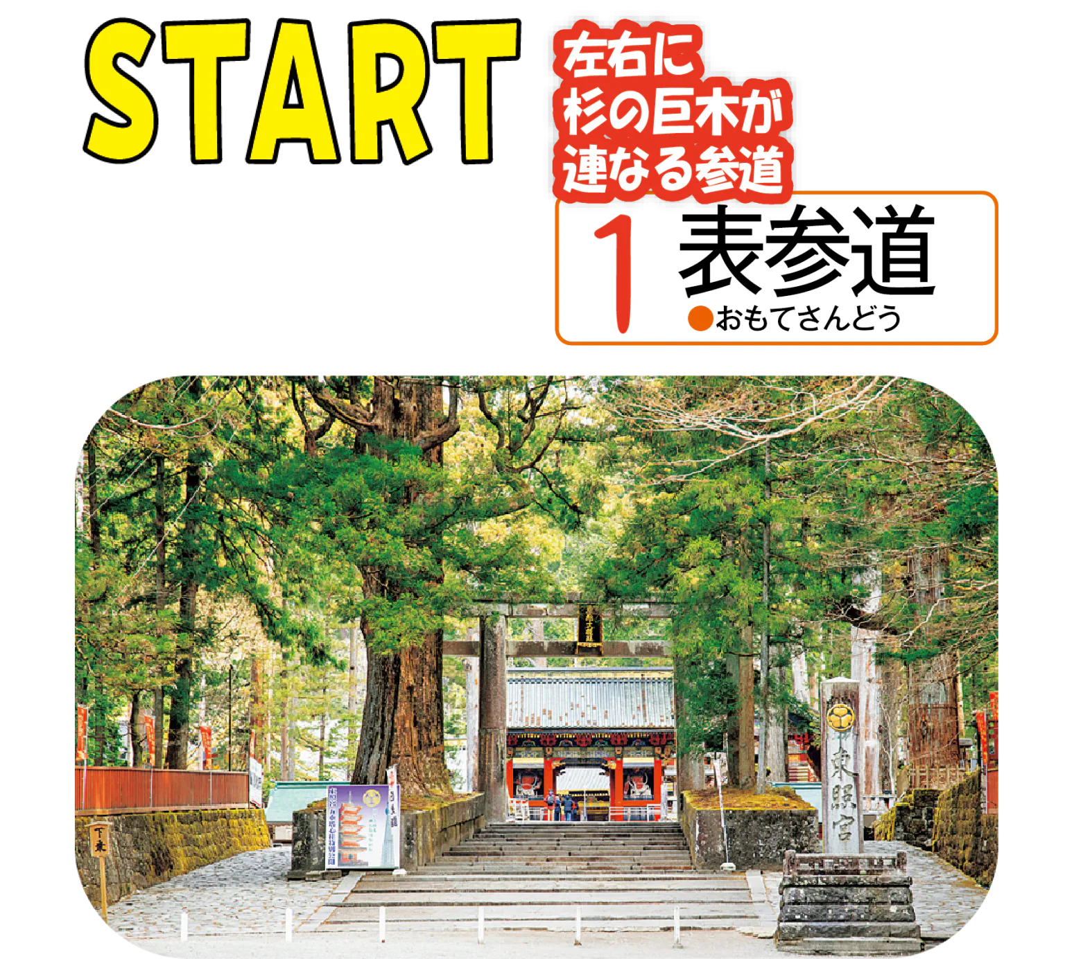 表参道の画像