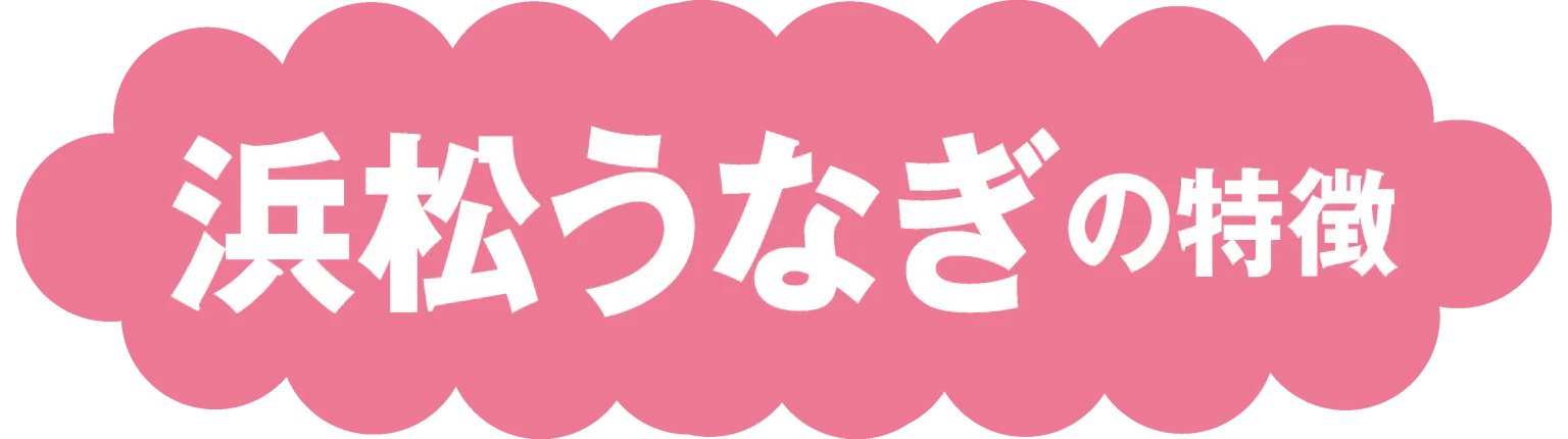 浜松うなぎの特徴の見出し