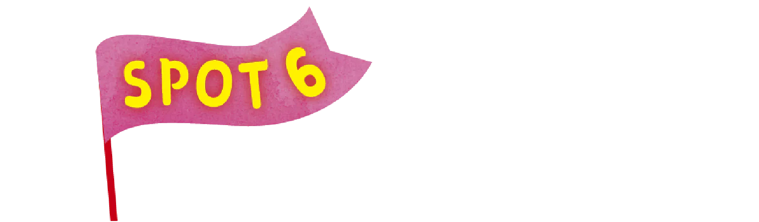 SPOT6