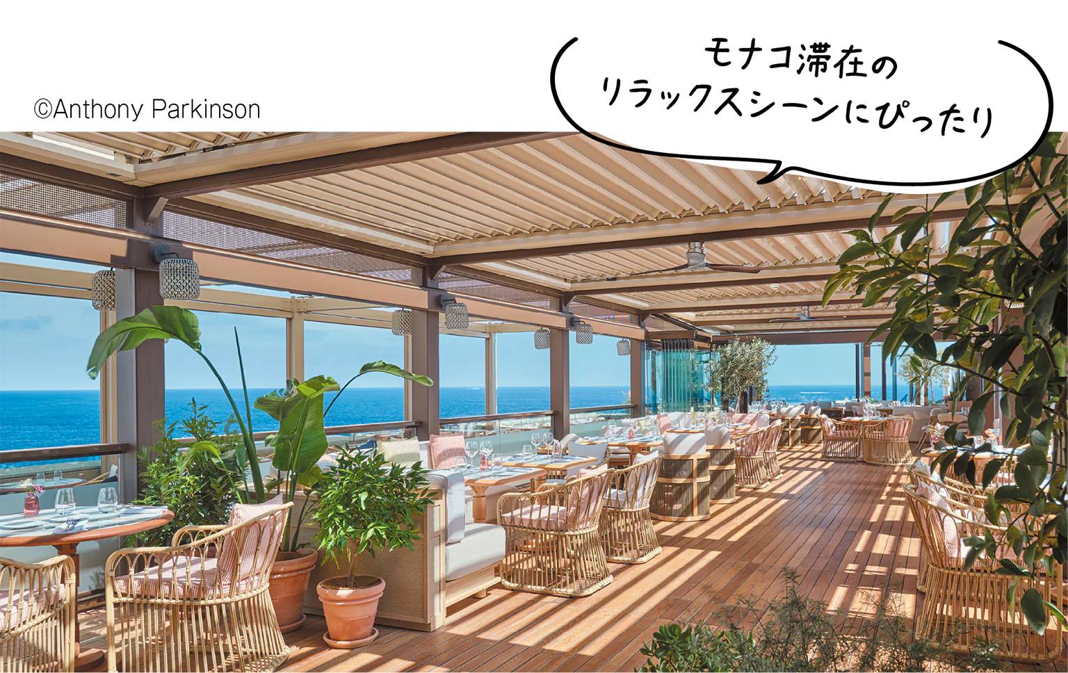 アム・モンテカルロの画像