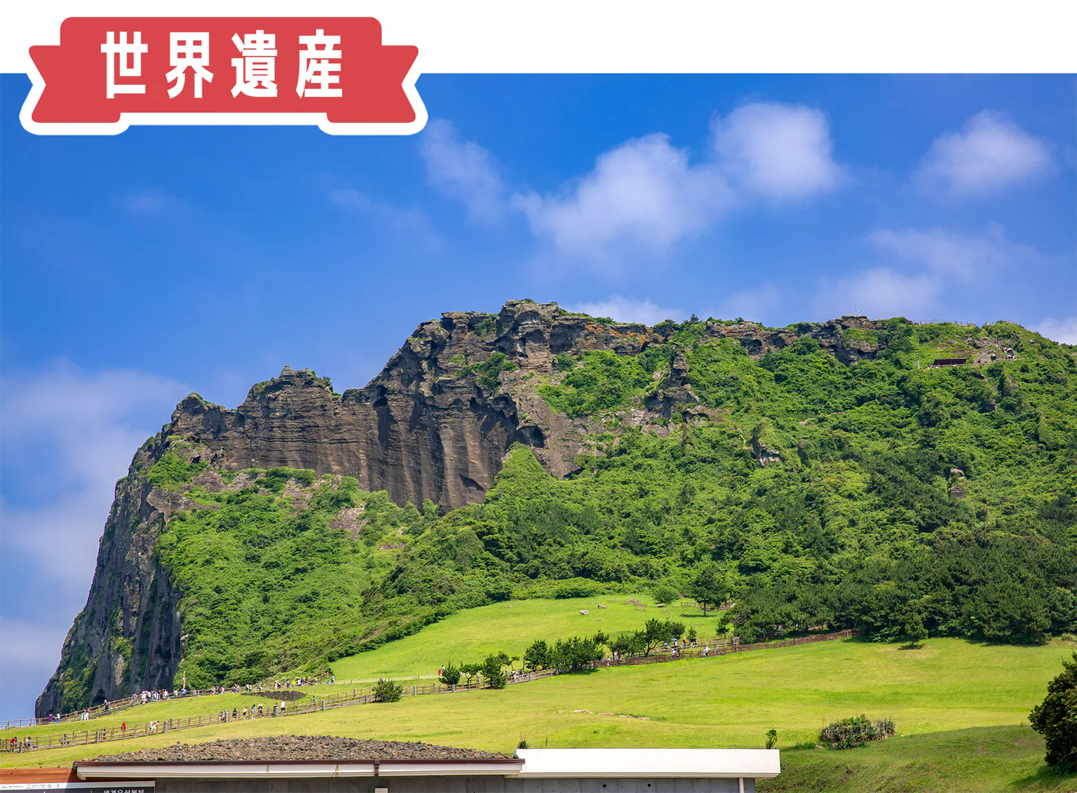世界遺産・城山日出峰の画像