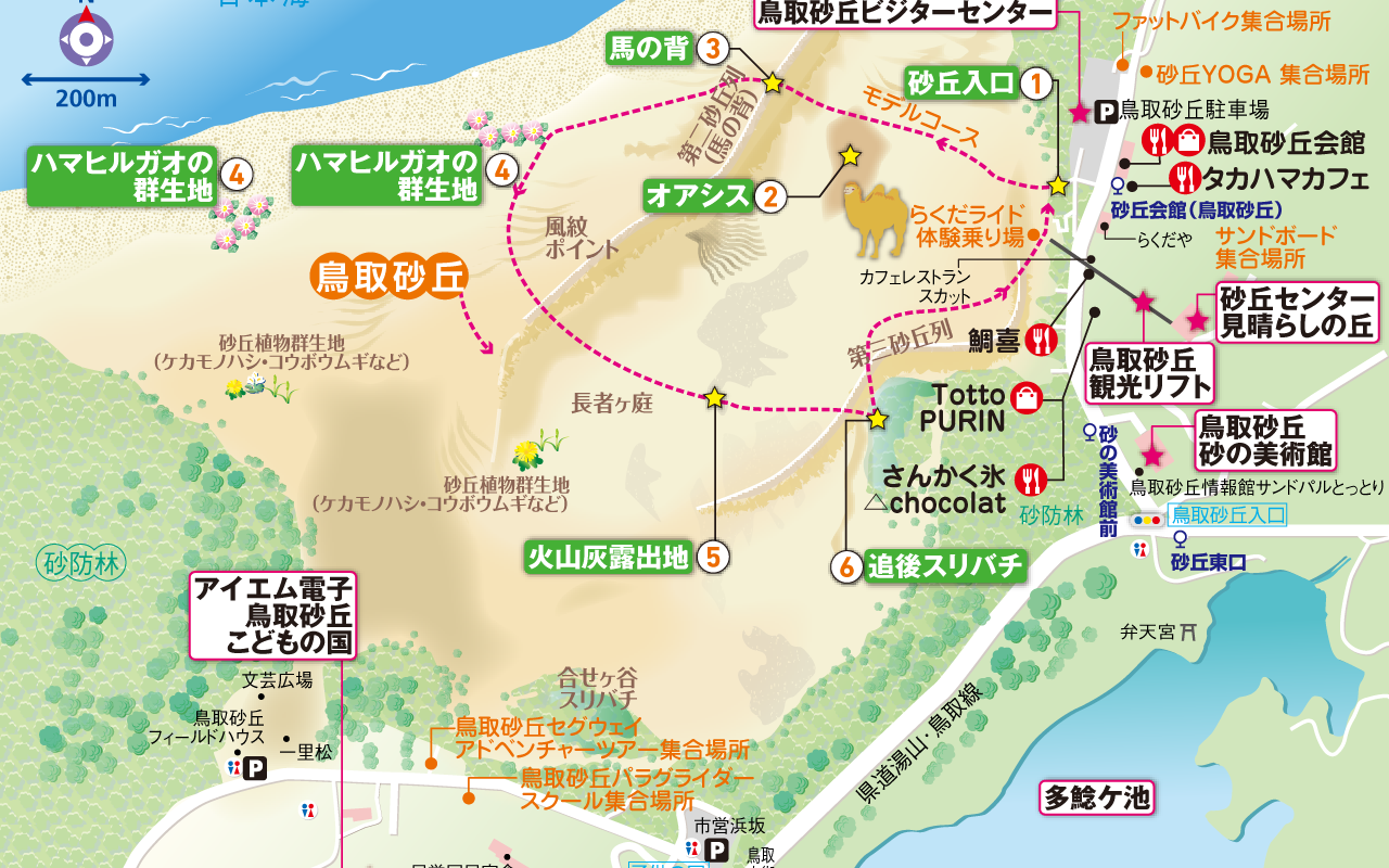 当時のメディア報道・掲載写真