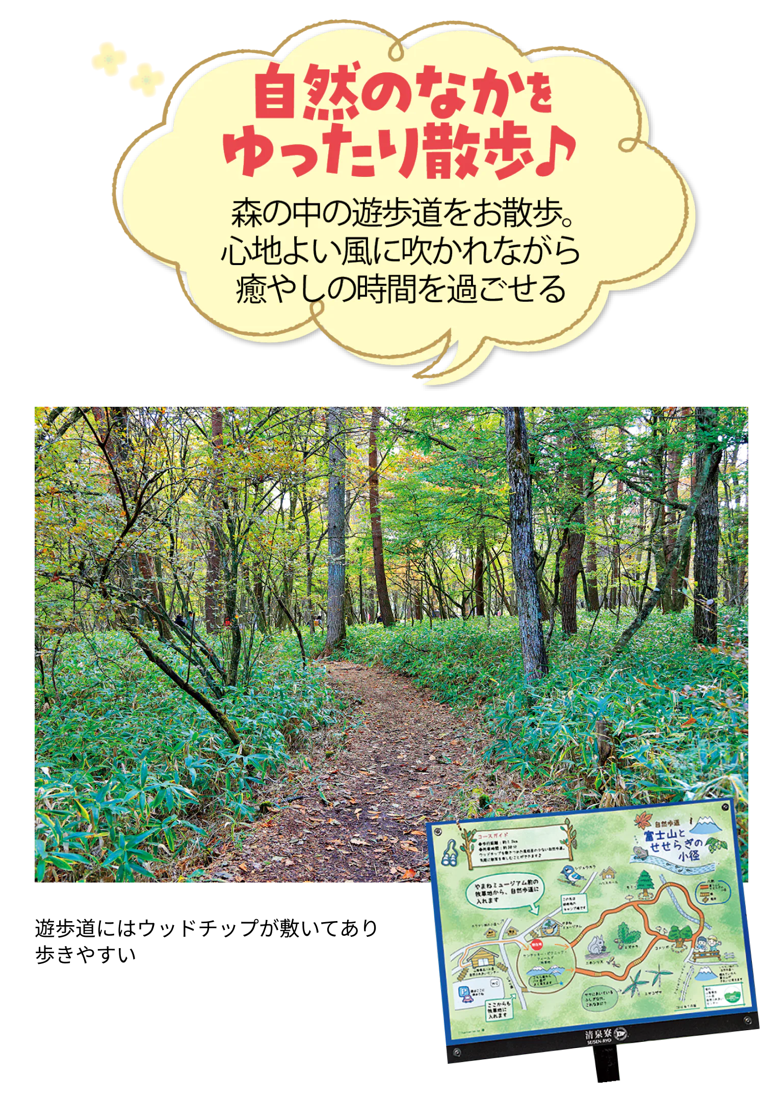 自然のなかをゆったり散歩♪ 森の中の遊歩道をお散歩。心地よい風に吹かれながら癒やしの時間を過ごせる