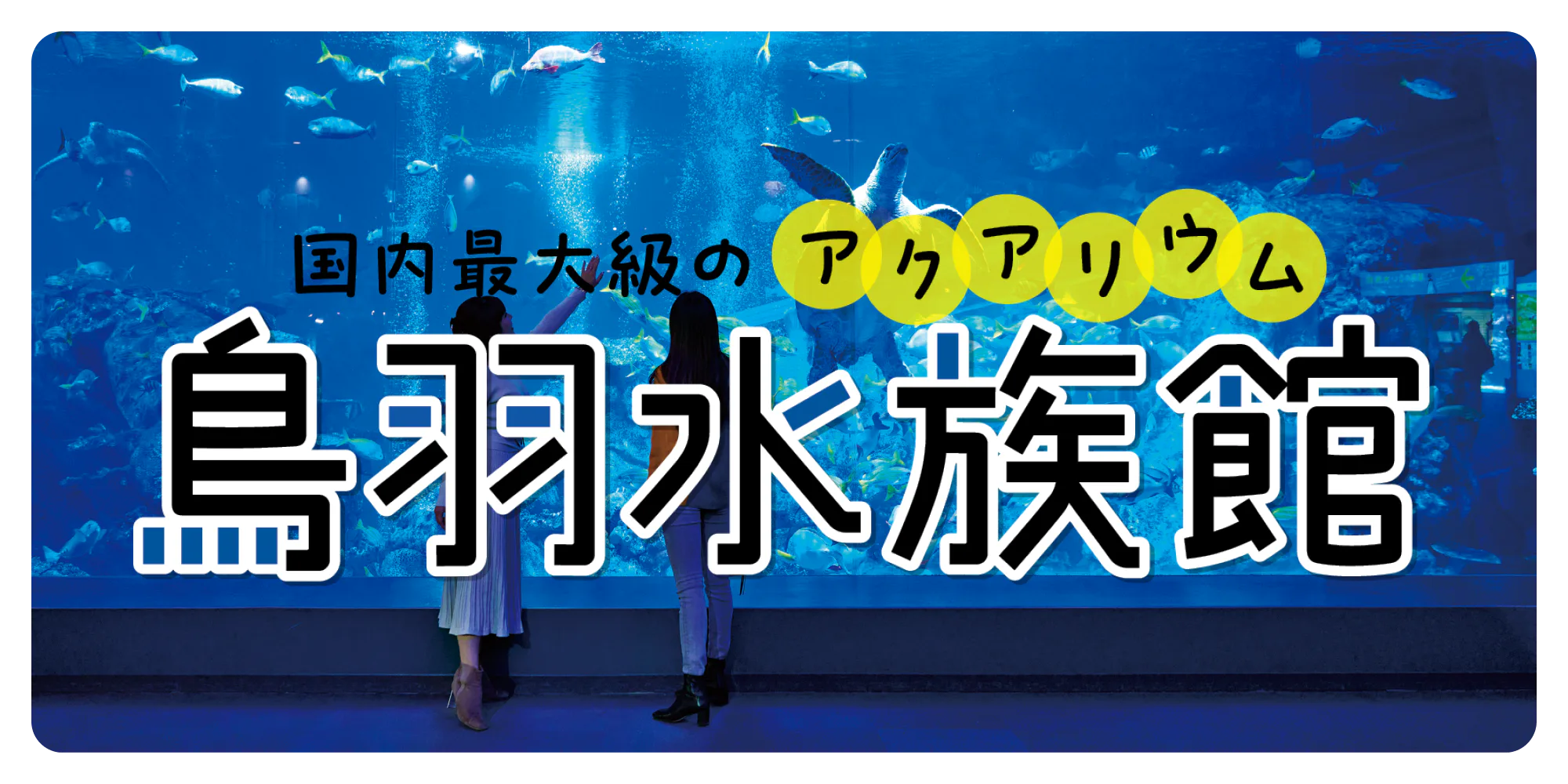 国内最大級のアクアリウム　鳥羽水族館